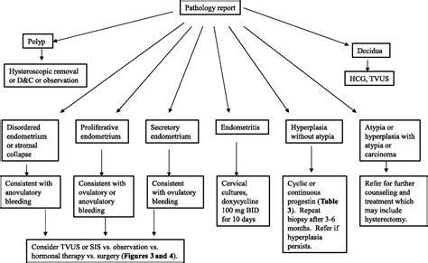 Abnormal Uterine Bleeding Algorithm