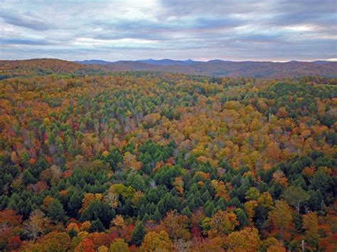 Northeast Temperate Network Ecosystems (U.S. National Park Service)