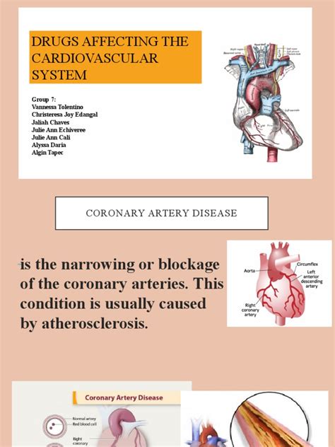 Drugs Affecting The Cardiovascular System: Group 7 | PDF | Coronary Artery Disease | Heart