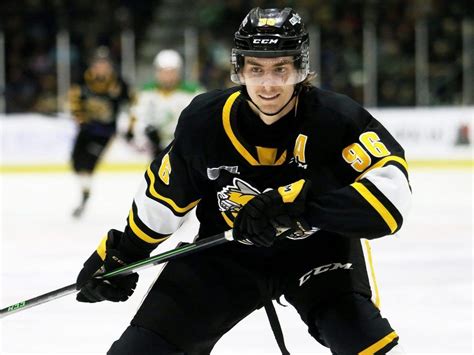 Sarnia Sting's Ty Voit joins Leafs' top farm team for AHL playoffs ...