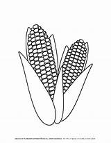 Corn Coloring Sheet sketch template
