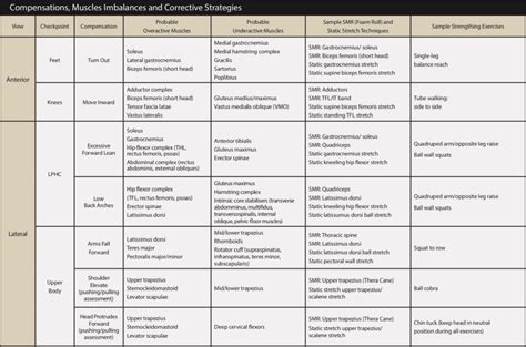 OHS Compensations, Muscle Imbalances, and Corrective Strategies ...