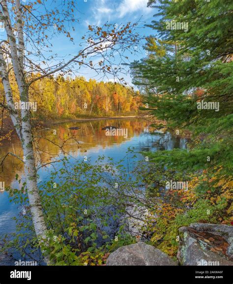 Fall colors on the Chippewa River in the Chequamegon National Forest Stock Photo - Alamy