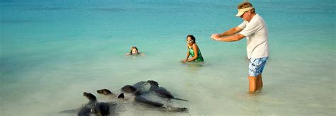 Galapagos Family Tours - Activities for Kids & Senior Traveles