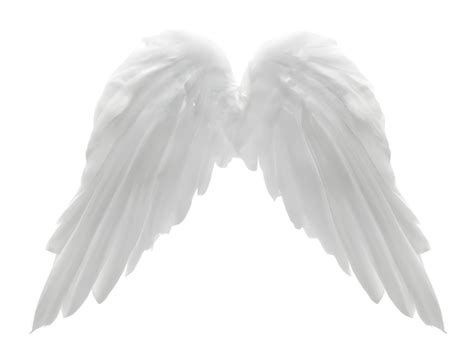 Gold Angel Wings Transparent Png