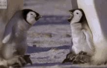 Baby Penguin GIFs | Tenor