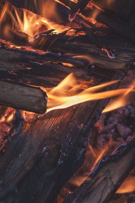 Burning Wood in a Campfire Summer Evening Close-up Stock Image - Image of bonfire, black: 126249069