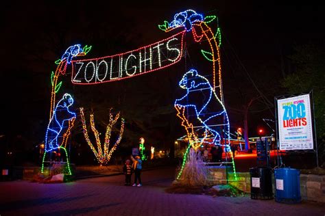 ZooLights 2017: Christmas Lights at the National Zoo