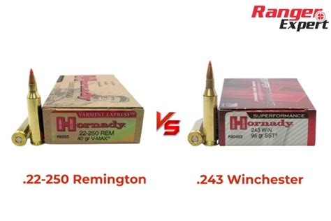 .22-250 vs .243: How Do They Differ?