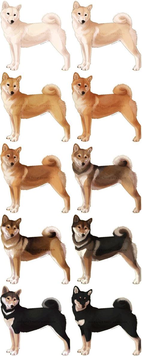 an image of dogs that are standing in the air