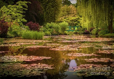 Monet's Japanese Bridge in Giverny, France Photograph by Liesl Walsh - Fine Art America