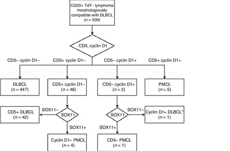 Selection of cases using immunohistochemistry of CD5, cyclin D1 and ...