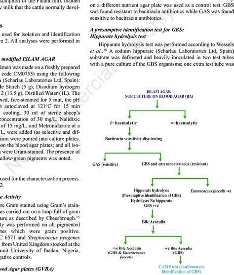 Steps used for isolation and identification of group B streptococci (GBS). | Download Scientific ...