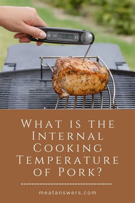 What is the Internal Cooking Temperature of Pork? Cooking Temp For Beef, Pork Cooking ...