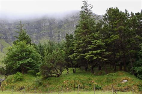 Kunoy, Faroe Islands: Home of the Famous Faroese Forest