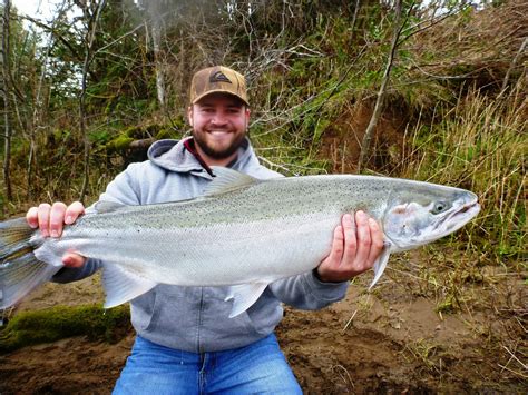 Umpqua River Steelhead Fishing