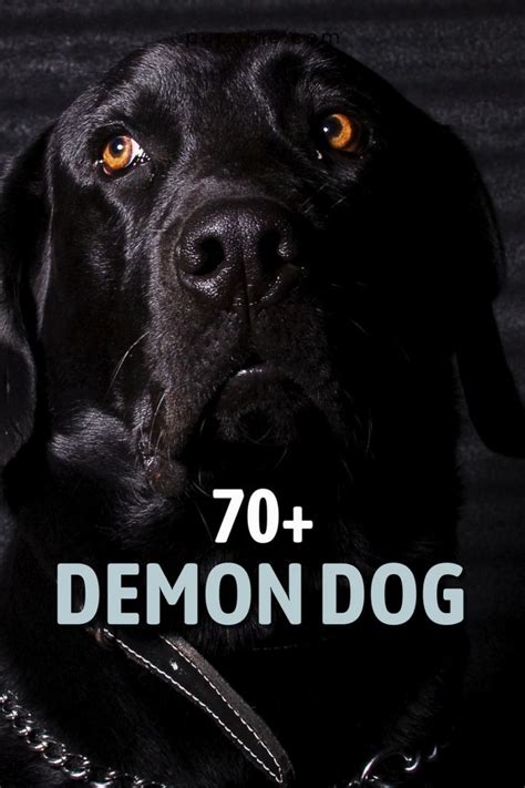 70 demon dog names the best hellhound names for your pooch – Artofit