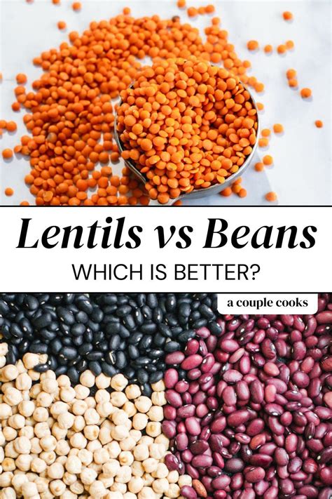 Lentils vs Beans | Lentils nutrition, Beans nutrition, Lentils and quinoa