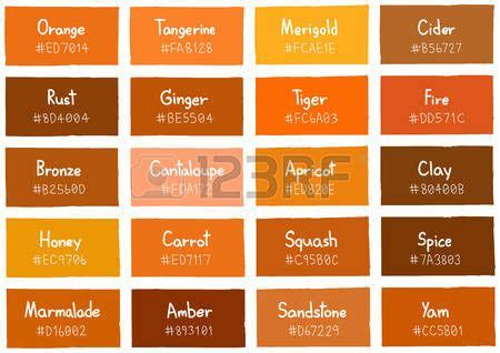 Stock Vector | Orange color shades, Orange color palettes, Orange palette