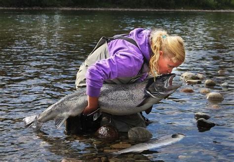 Salmon - northern Norway | Inatur.no | Norge, Land, Fisk