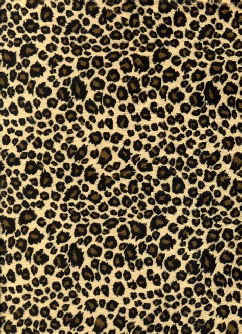 Cheetah Print Wallpapers - Top Những Hình Ảnh Đẹp