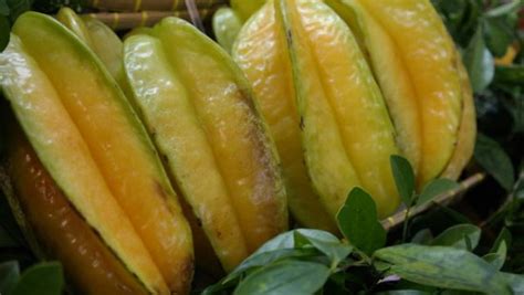 Top 10 buah tropis asli Indonesia kaya dengan vitamin C - Jurnal Bumi