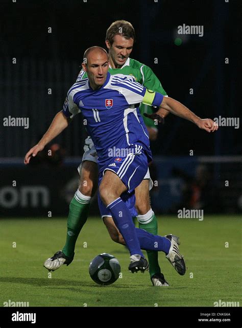 The Northern Ireland national football team Stock Photo - Alamy