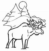 Free Printablebear And Moose Coloring Pages sketch template
