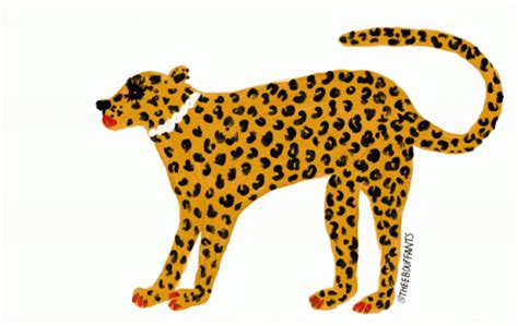 Cheetah Female Love Heart GIF | GIFDB.com