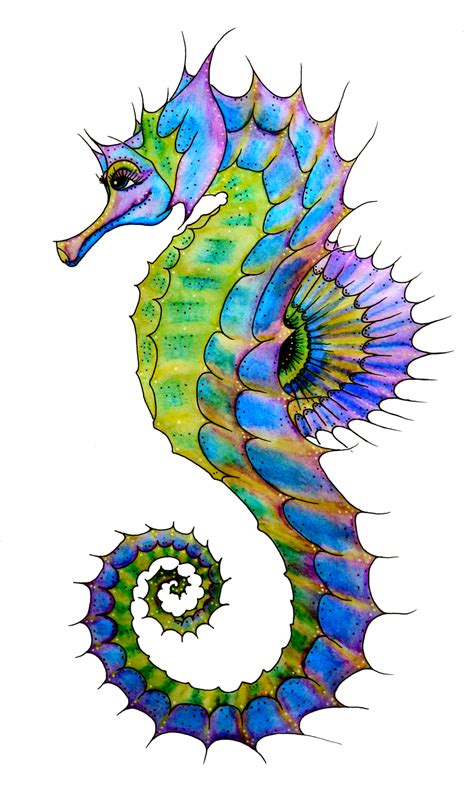 Seahorse PNG Transparent Images | PNG All