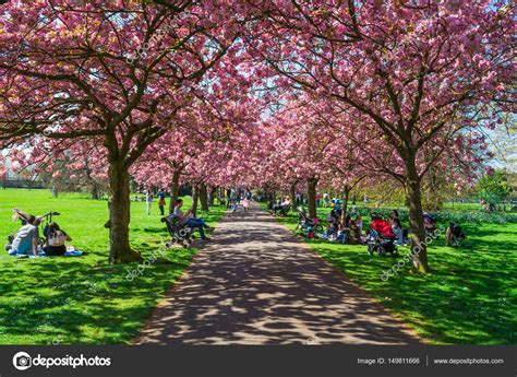 Greenwich park, London UK – Stock Editorial Photo © RubinowaDama #149811666