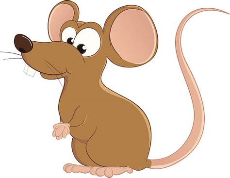 brown mouse clipart 20 free Cliparts | Download images on Clipground 2024