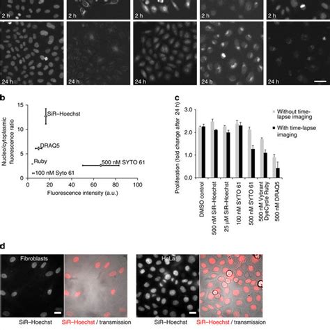 (PDF) SiR–Hoechst is a far-red DNA stain for live-cell nanoscopy