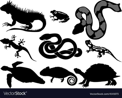 Set of silhouettes of reptiles Royalty Free Vector Image