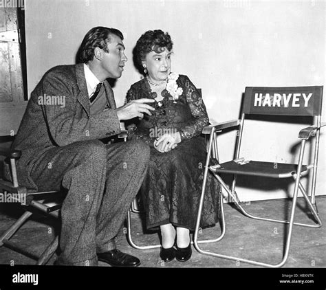 HARVEY, James Stewart, Josephine Hull, Harvey, on-set, 1950 Stock Photo - Alamy