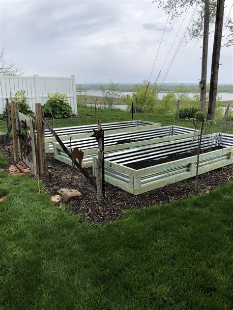 Raised Garden Beds using galvanized tin | Raised garden, Garden beds ...