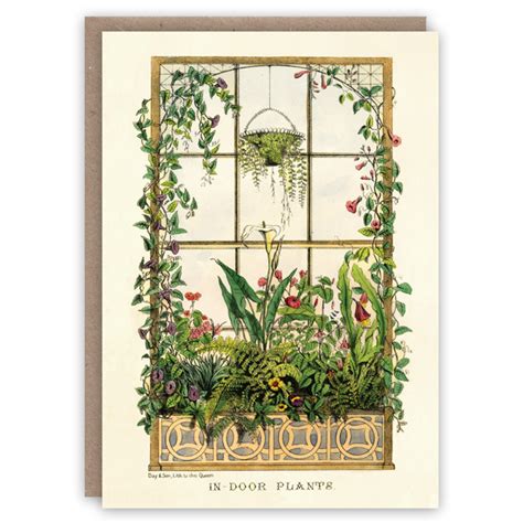 Indoor Plants* – The Pattern Book