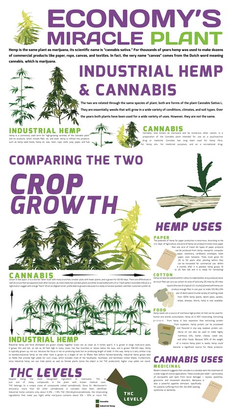 Miracle Plant Infographic on Behance