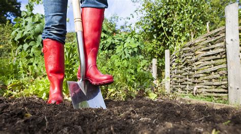 How To Dig Your Garden - Dr Earth