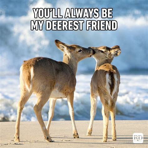 25 Funny Friend Memes to Send to Your Bestie | Reader's Digest