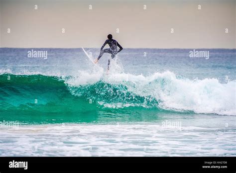 Surfing at Bondi Beach Stock Photo - Alamy