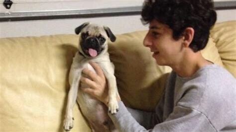 FaZe Rug's Dog 'Bosley the Pug' Dies, YouTuber Pens Emotional Note ...