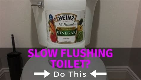 How To Fix Slow Flushing Toilet Tips Slow Draining Toilet Youtube - Riset