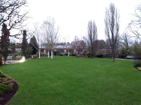 A winter visit to RHS Rosemoor - The Lawn Man