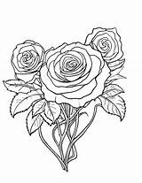 Print Rose Coloring Pages Unleash Your Creativity And Add A Touch Of  sketch template