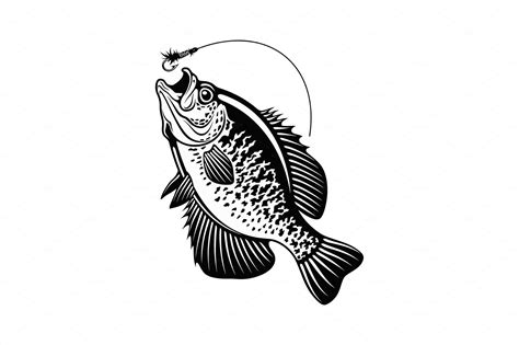 White Crappie fish - black and white | Animal Illustrations ~ Creative Market