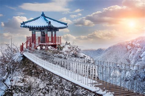 10 Ways to Stay Warm During Winter in Korea |Seoul Searching