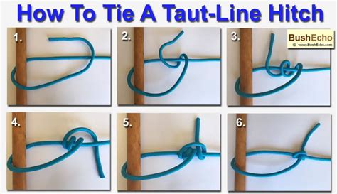 How To Tie A TautLine Hitch - BushEcho