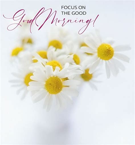 Best Good Morning Daisy Flower Picture - Good Morning Pictures – WishGoodMorning.com