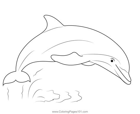 Dolphin Show Coloring Page for Kids - Free Dolphins Printable Coloring ...